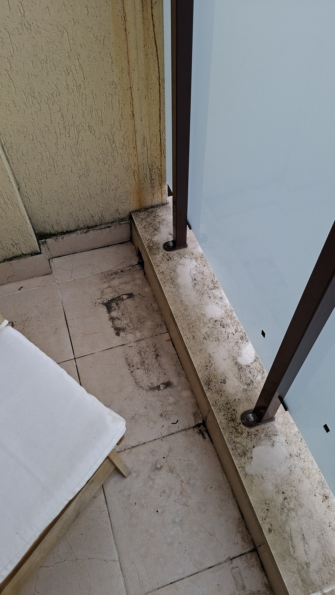 Before photo for Deep Cleaning