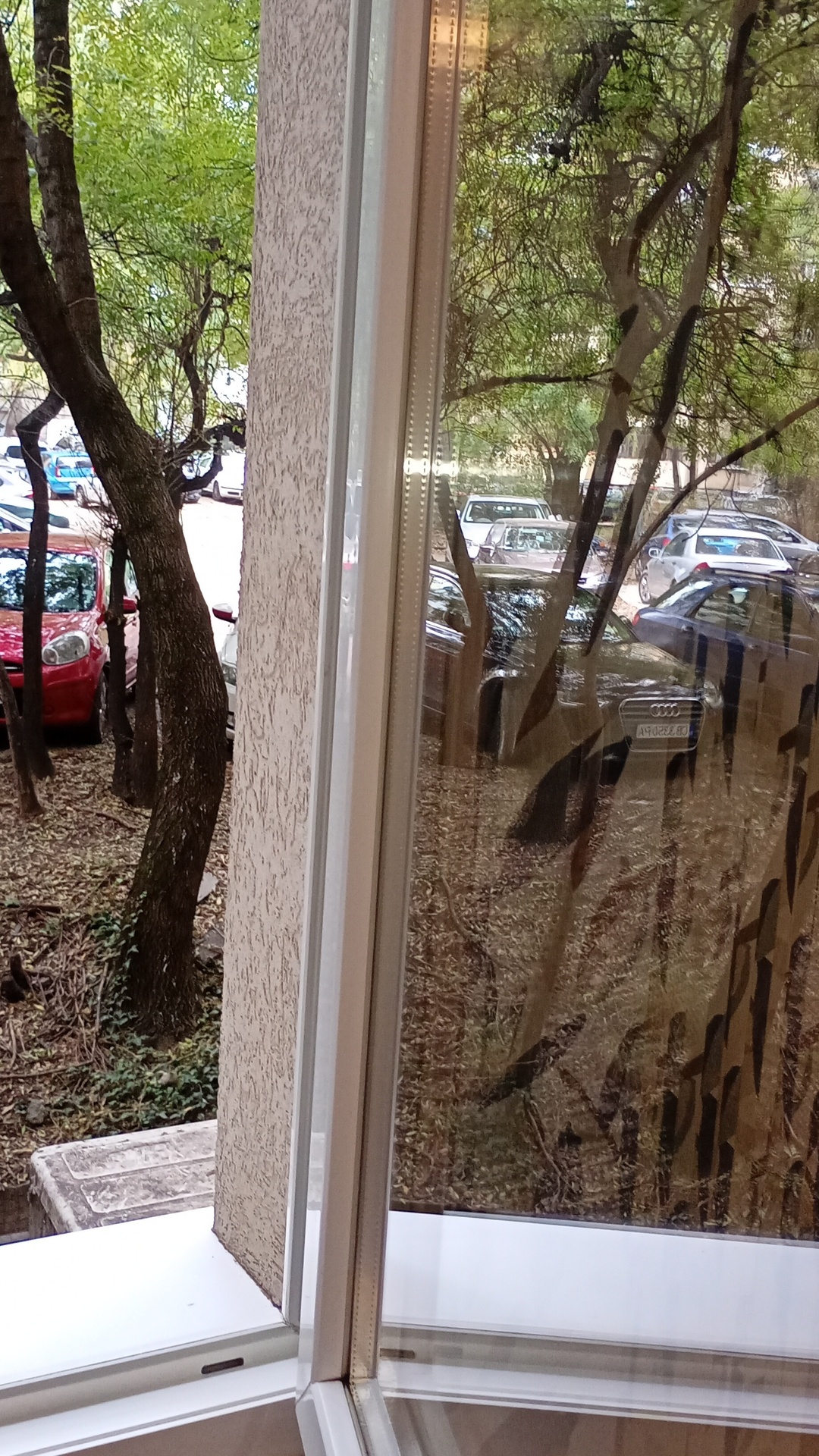 After photo for Основно почистване