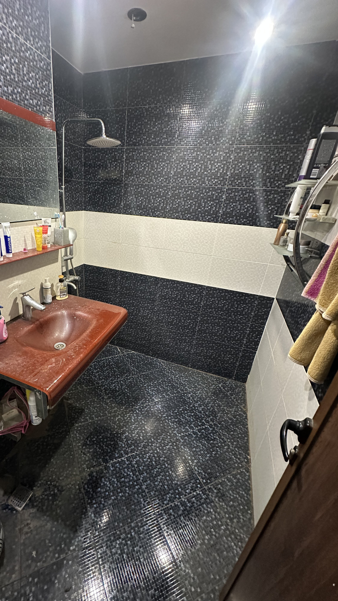 Before photo for Bathroom Cleaning