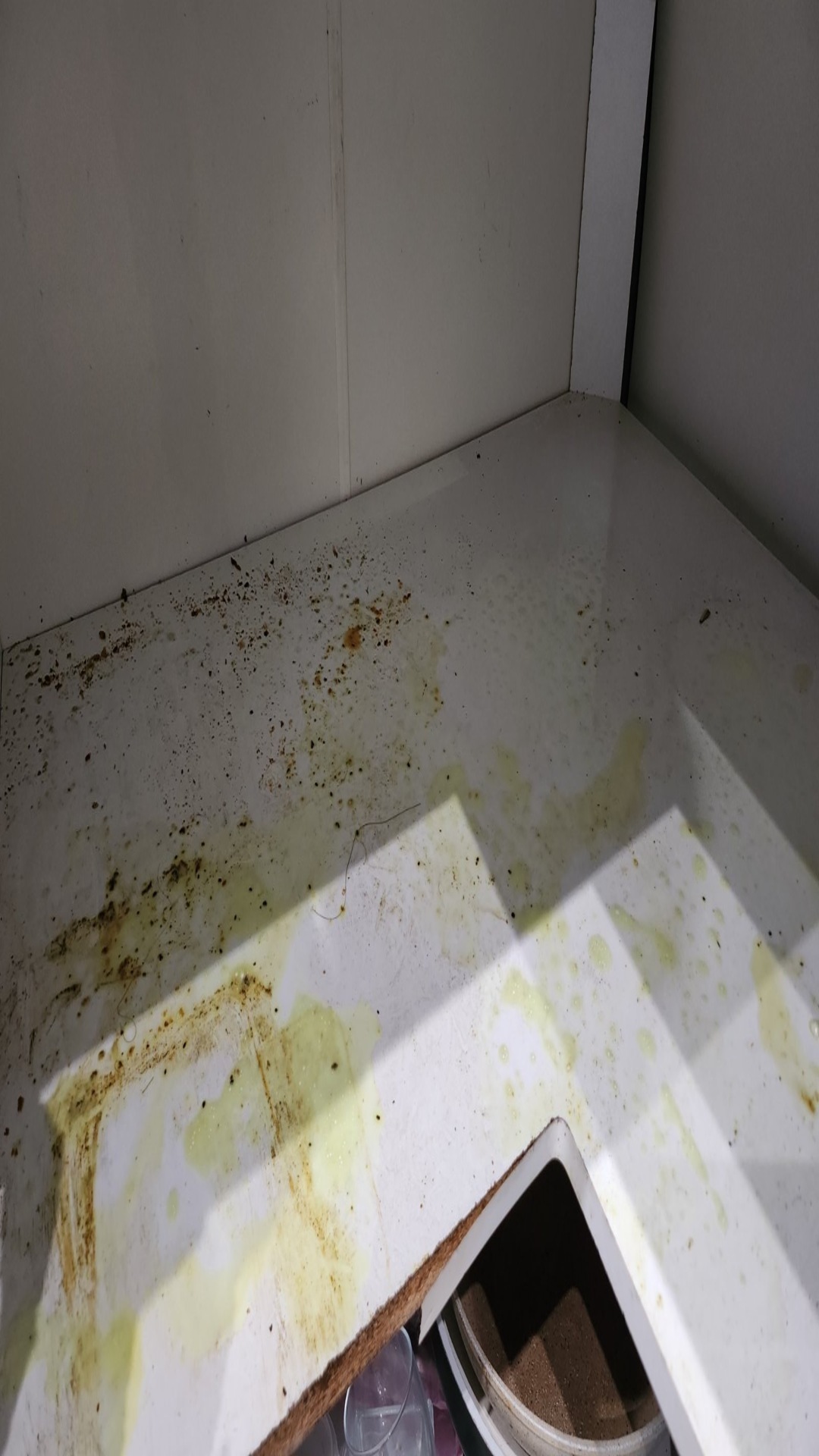 Before photo for Основно почистване