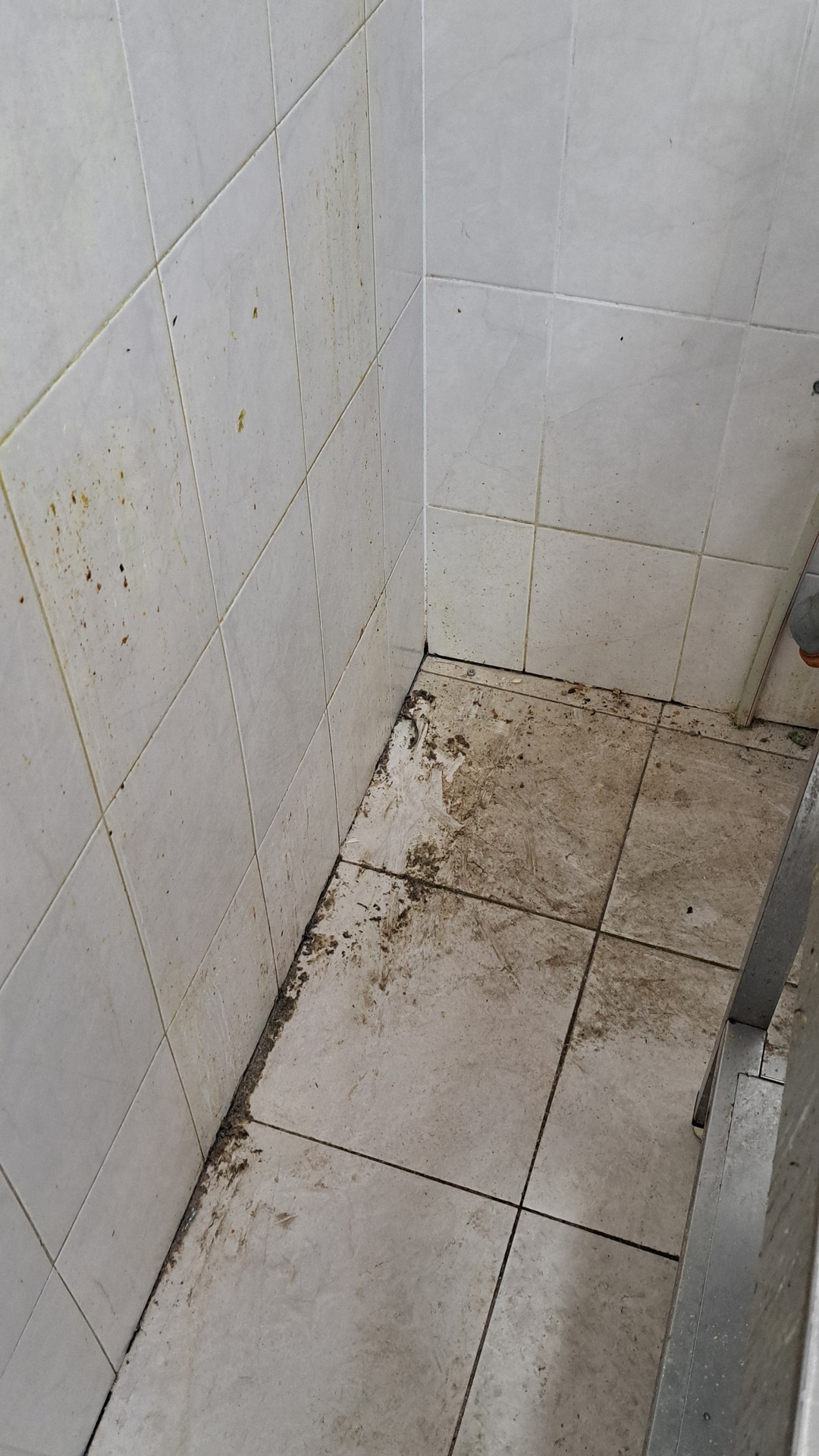 Before photo for Основно почистване