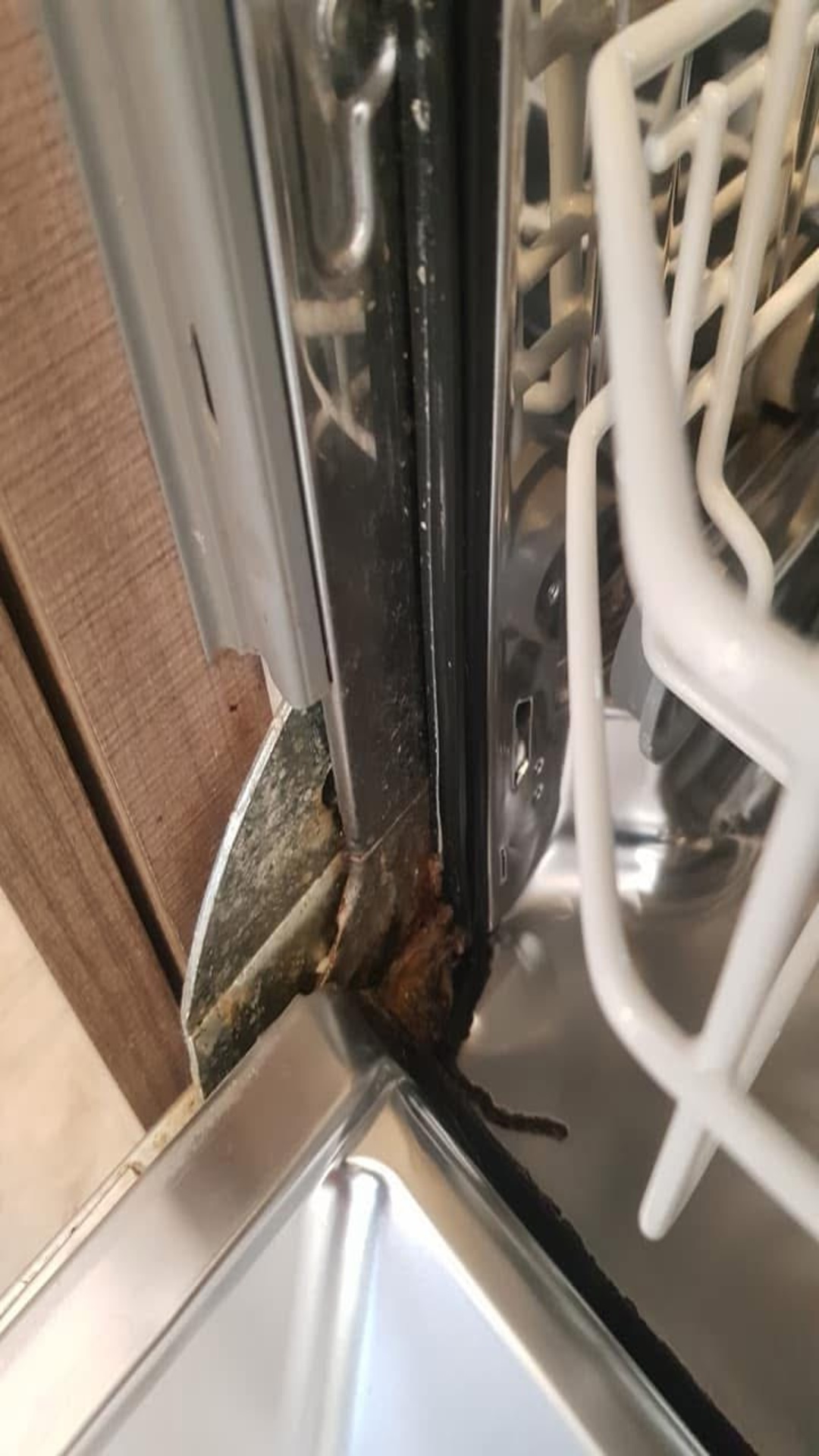 Before photo for Основно почистване