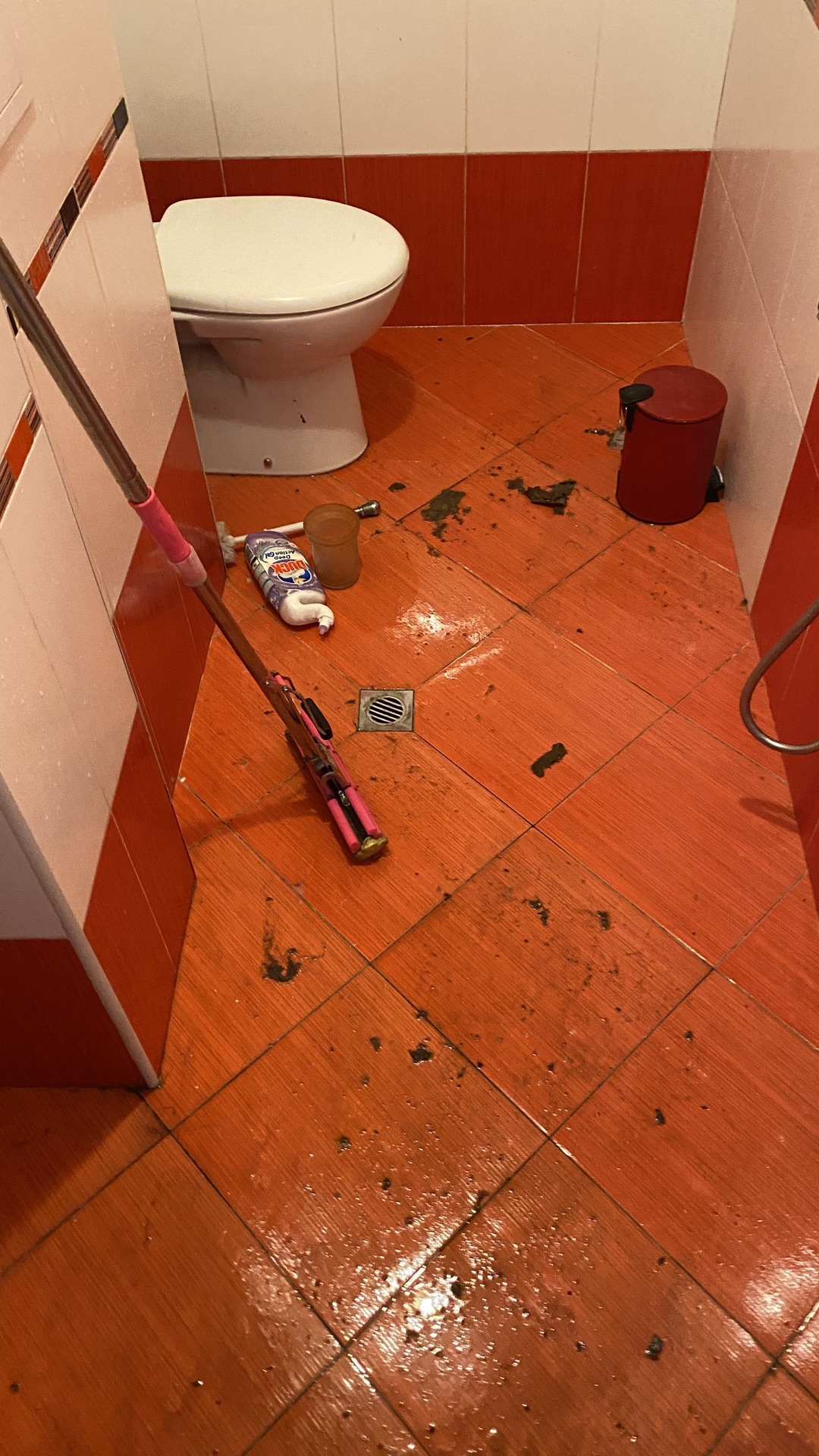 Before photo for Почистване след наематели