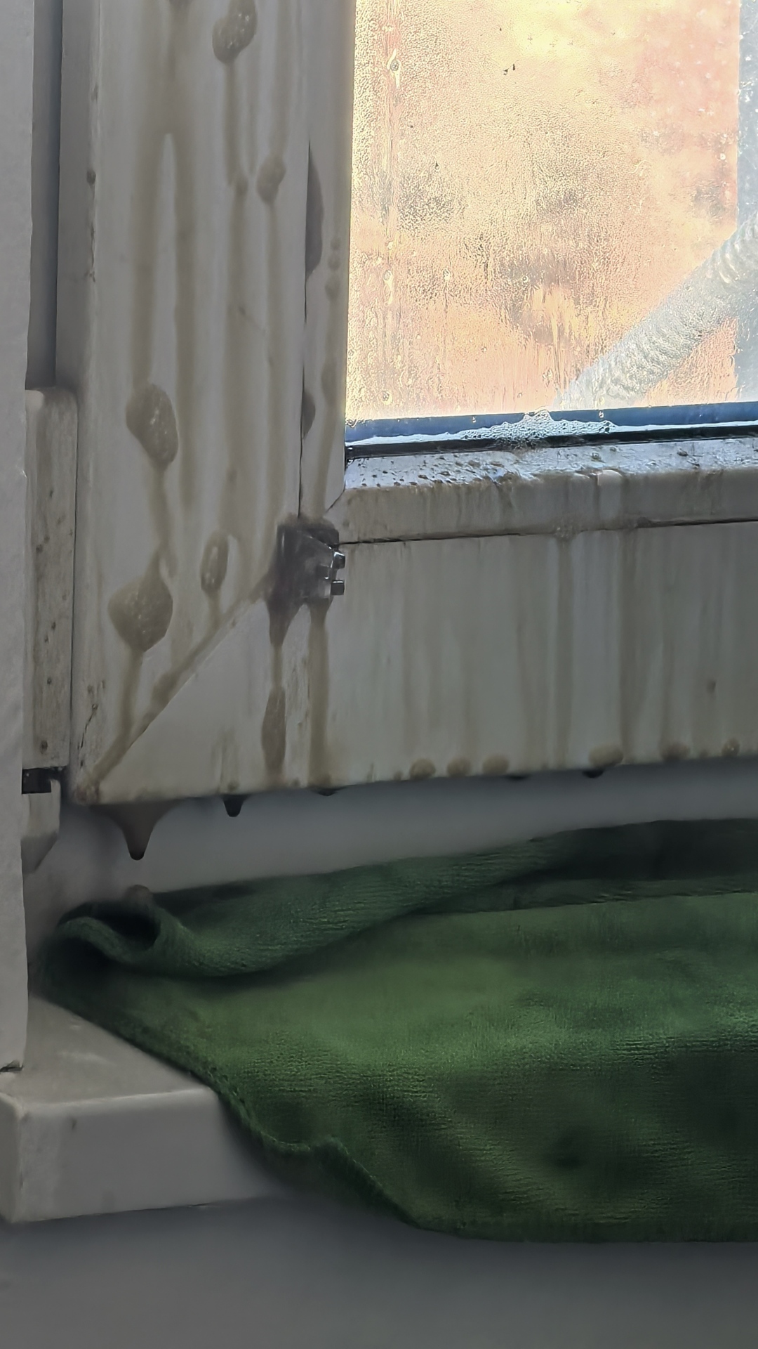 Before photo for Deep Cleaning